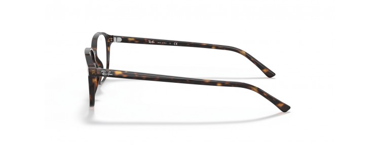Ray-Ban RX5393 2012 Leonard...