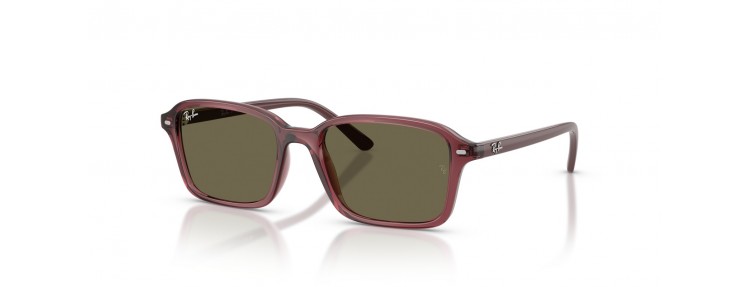 Ray-Ban RJ9131S 7197/3 - Violet foncé...
