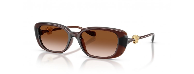 Versace VE4504D 533213 - Transparent...