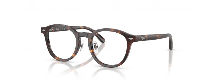 Ray-Ban RX5443D 2012 - Havana - 49 mm