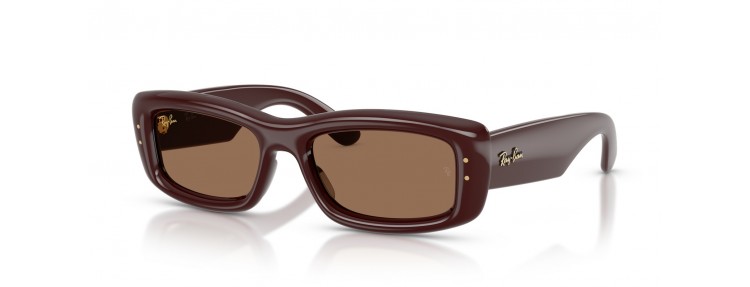 Ray-Ban RB4944 687773 - Marron foncé...