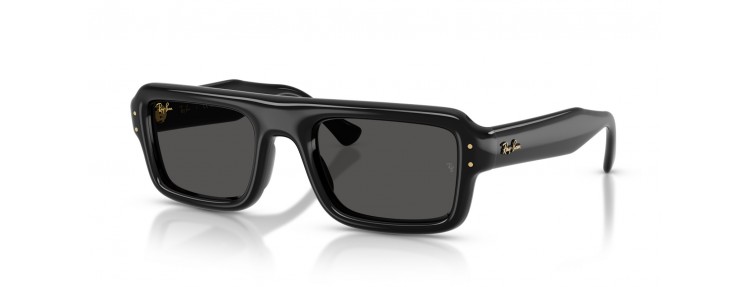 Ray-Ban RB4954 601/87 - Noir / Ultra...