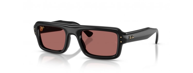 Ray-Ban RB4954 601/69 - Noir / Violet...