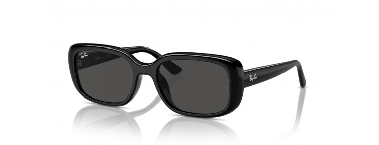 Ray-Ban RB4421D 667787 - Noir / Gris...