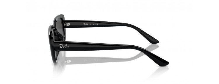 Ray-Ban RB4421D 667787 -...
