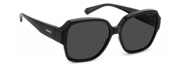 Polaroid Ancillaries Pld...
